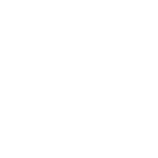 A key icon